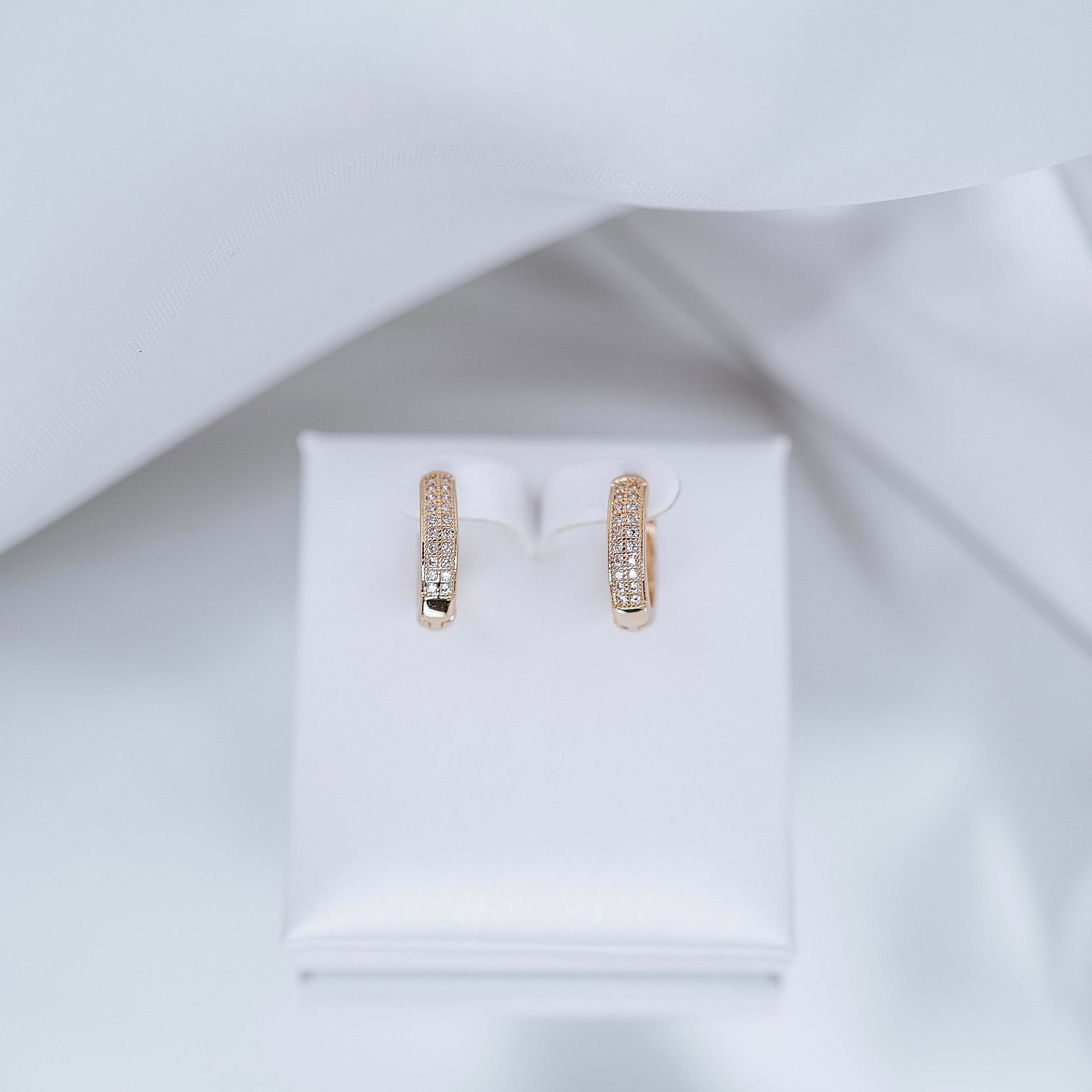 Auskari "Round crystal everyday"