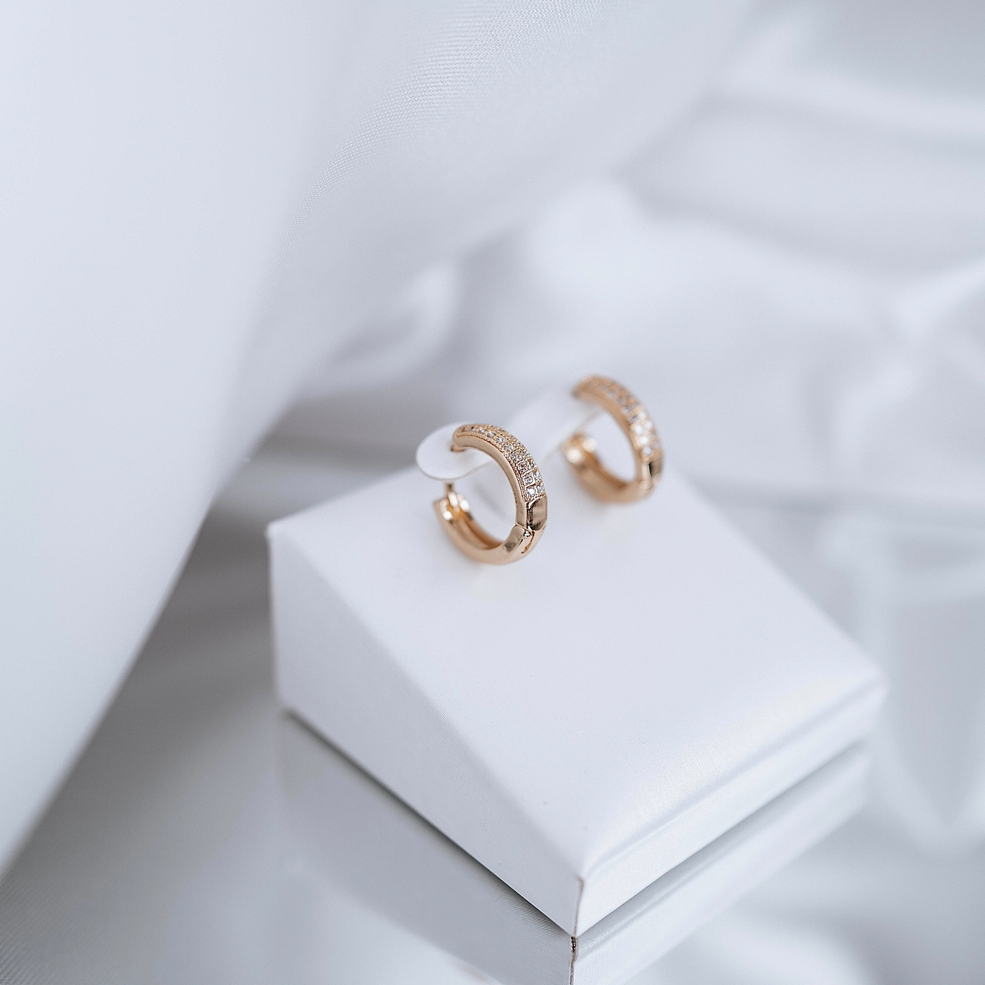 Auskari "Round crystal everyday"