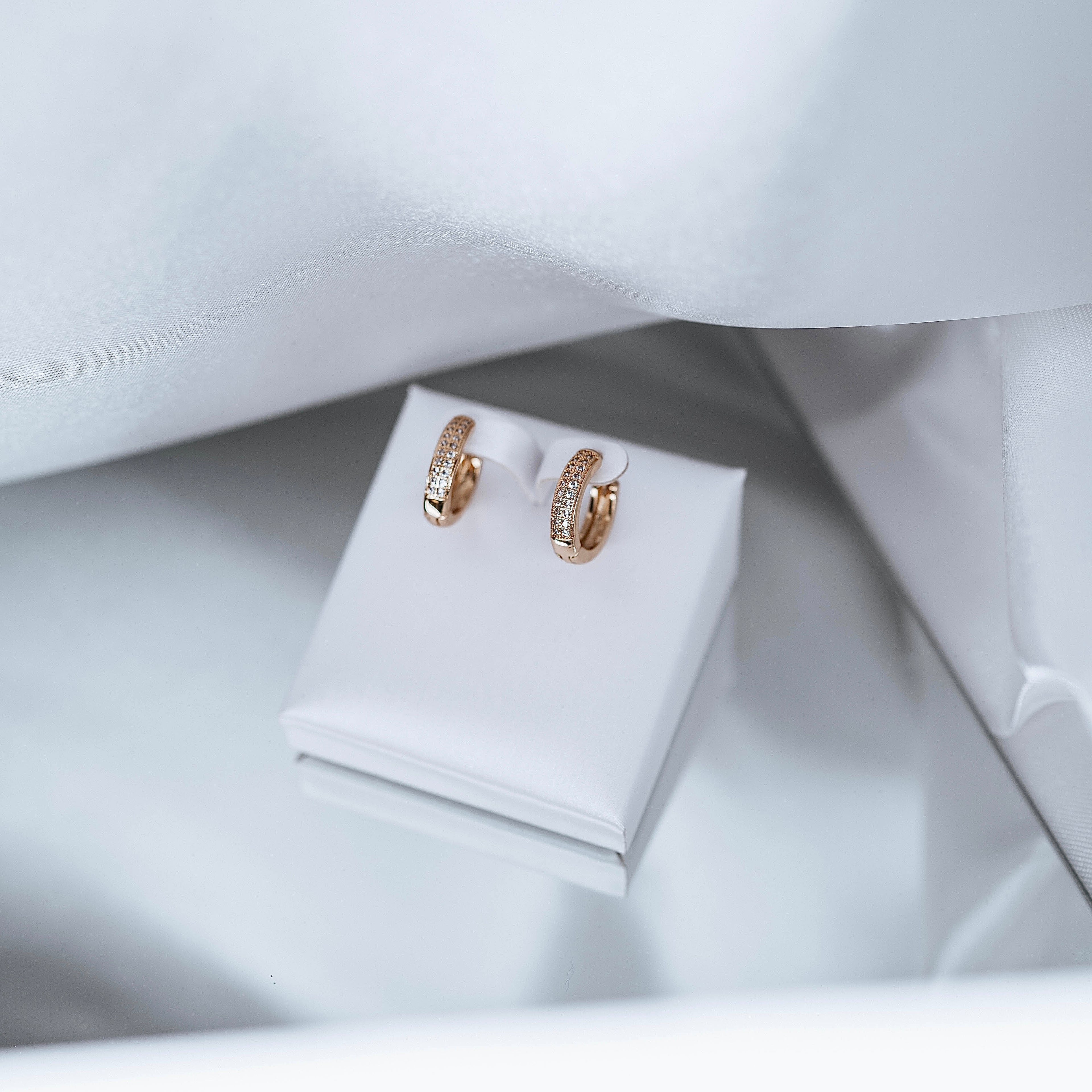 Auskari "Round crystal everyday"