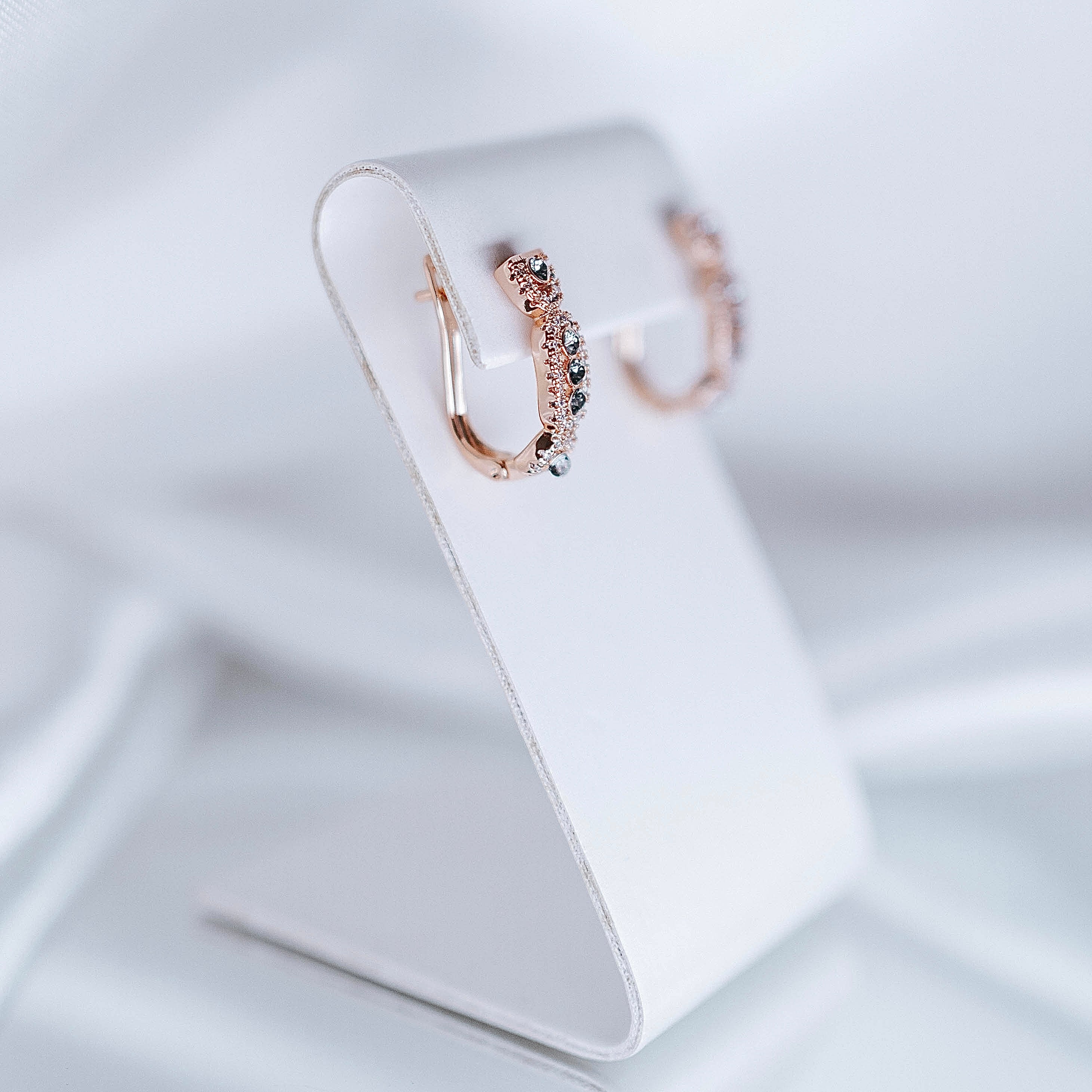 Auskari "Īpašs dzidrs skaistums"