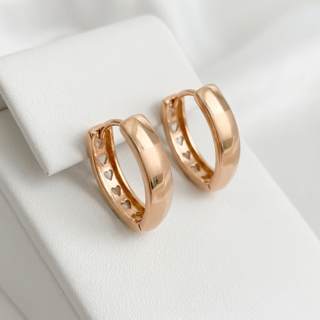 Auskari "Sirds harmonija"