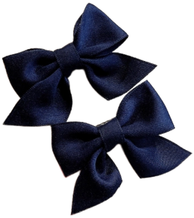 Matu sprādzes "Satīna" 2 gab izvēlies krāsu