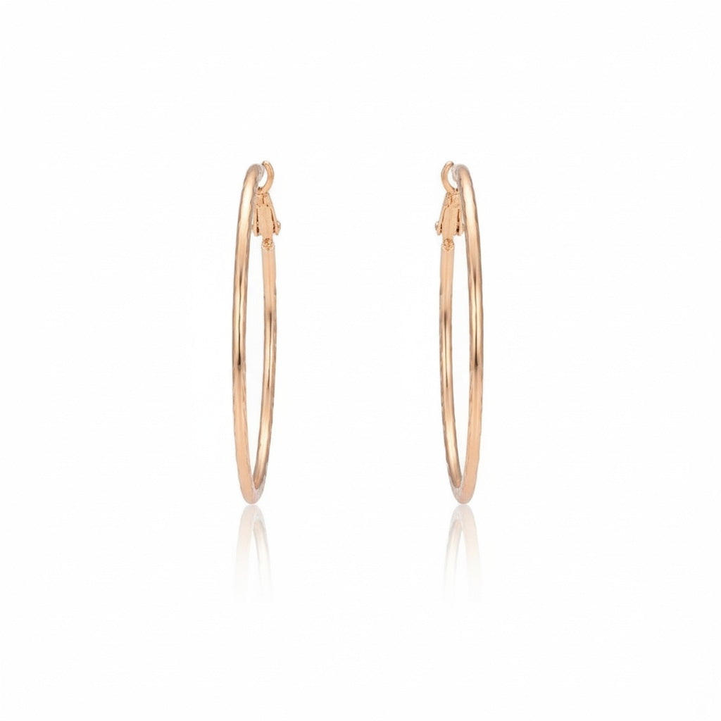 Auskari "Ikdienas riņķi"