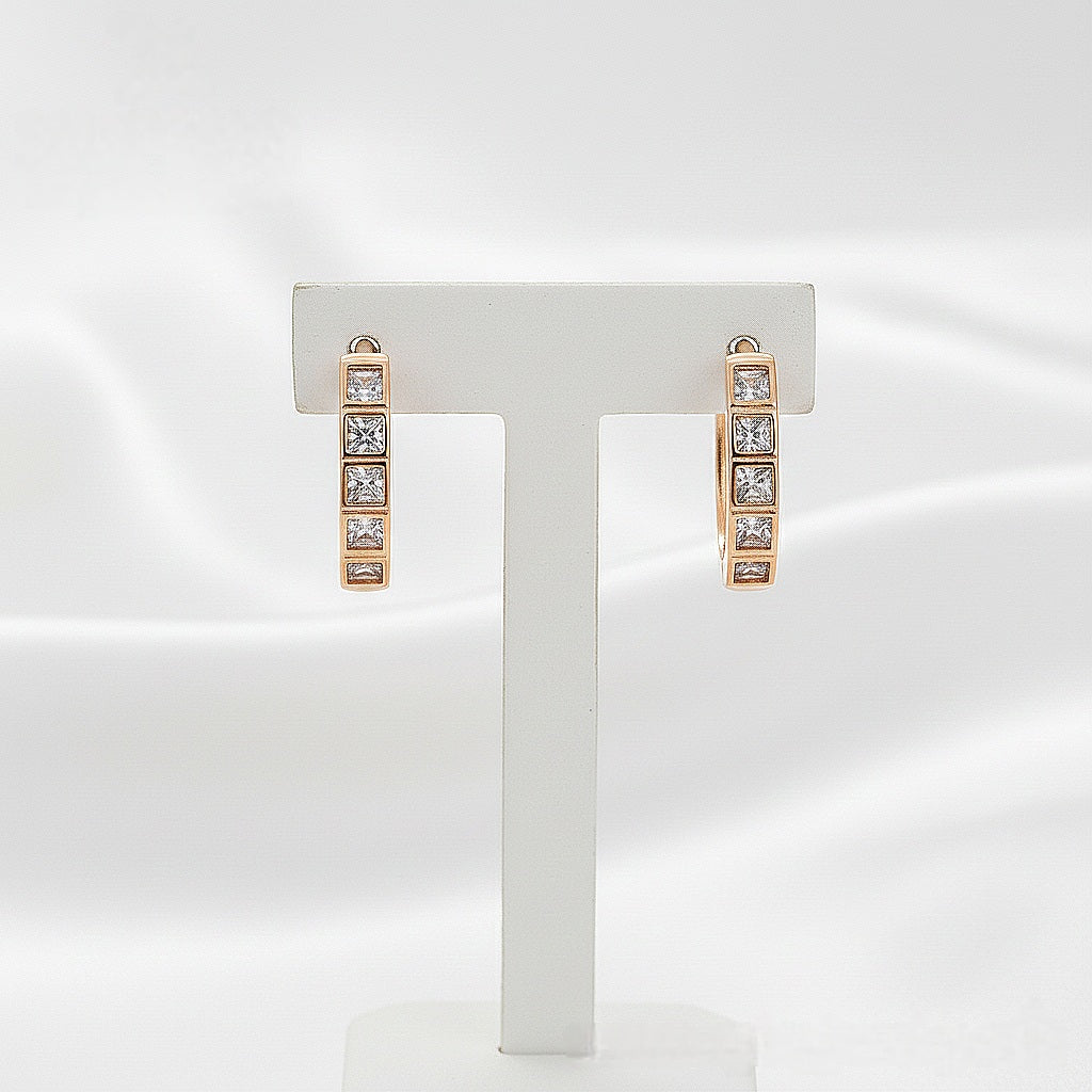 Auskari "Ikdienas rinķīši"