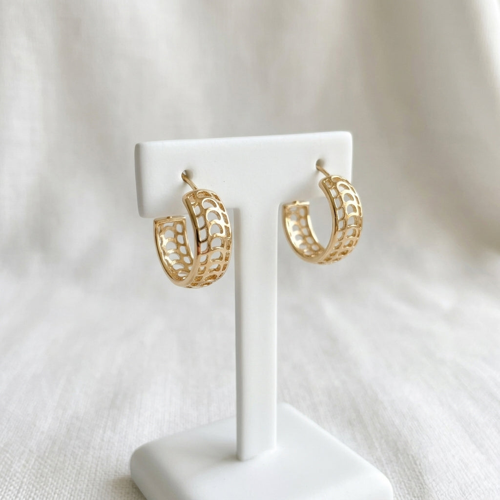 Auskari "Ikdienas sabiedrotie"