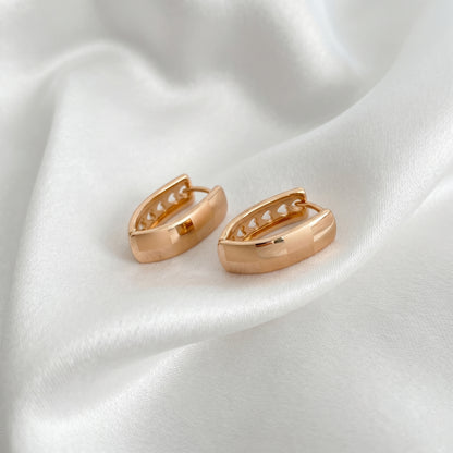 Auskari "Sirds harmonija"