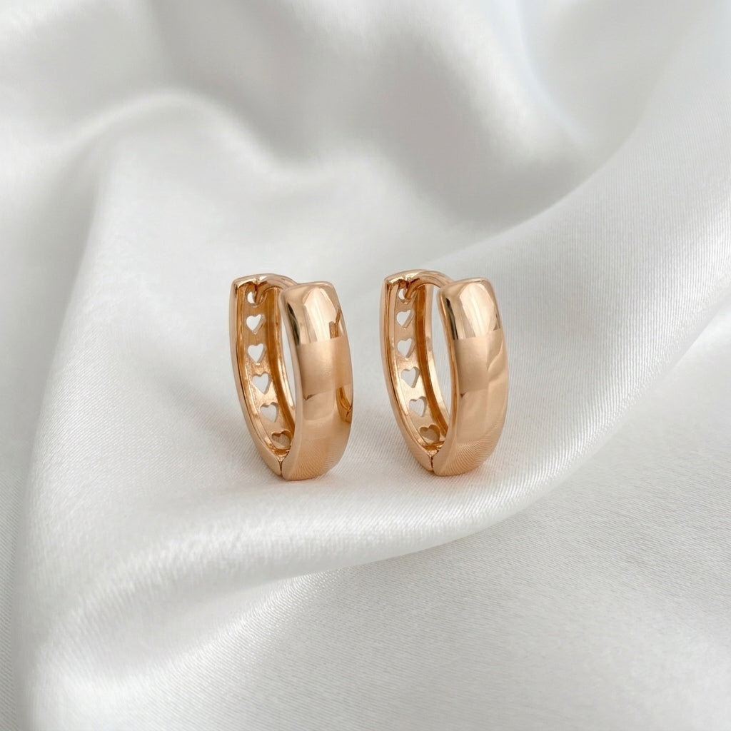 Auskari "Sirds harmonija"