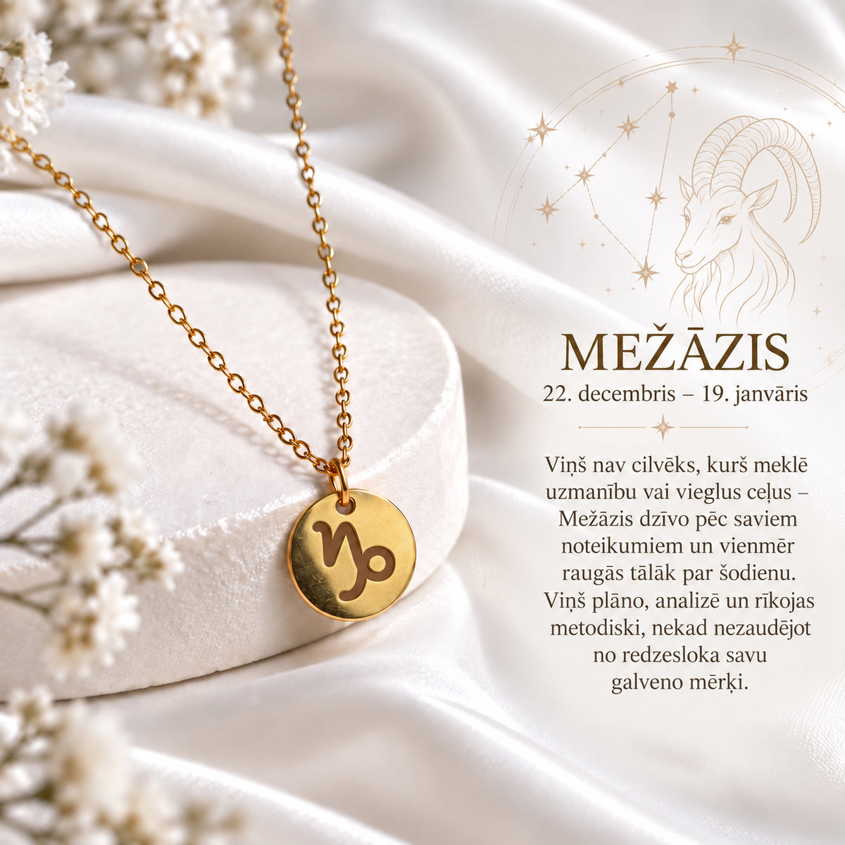 Classic zodiac sign necklace
