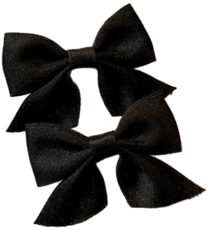 Matu sprādzes "Melnā satīna" 2 gab