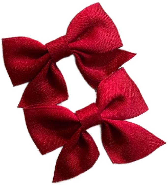 Matu sprādzes "Satīna" 2 gab izvēlies krāsu