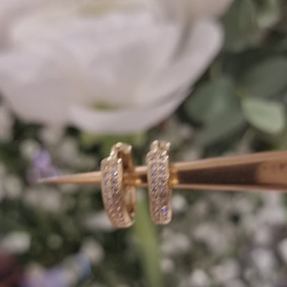 Auskari "Round crystal everyday"